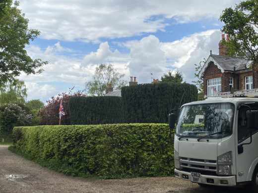 lorry and hedge